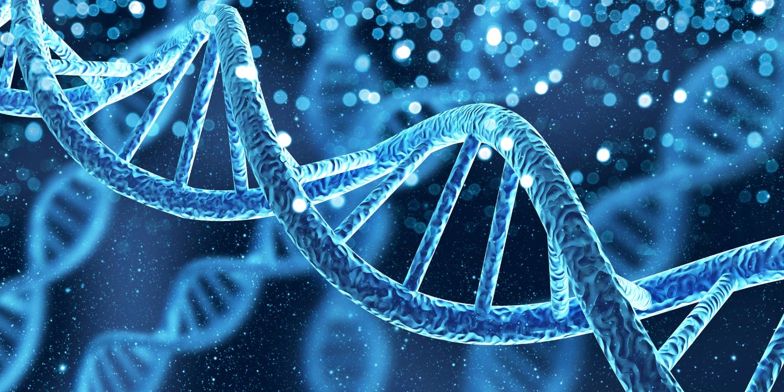 September 26th: The Structure Of DNA Deduced