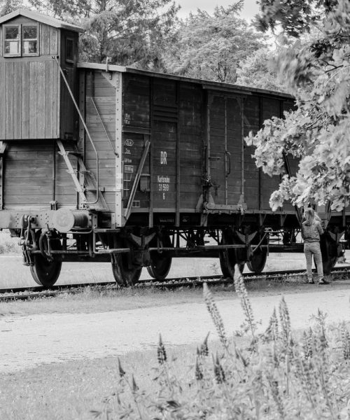 July 22nd: 300,000 Jews Deported & Executed In Treblinka