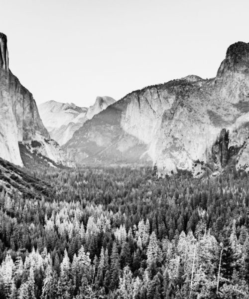 October 1st: Yosemite Park Was Officially Established