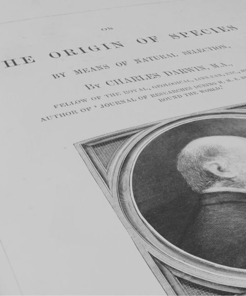 November 24th: Darwin’s “On The Origin Of Species” Was Published